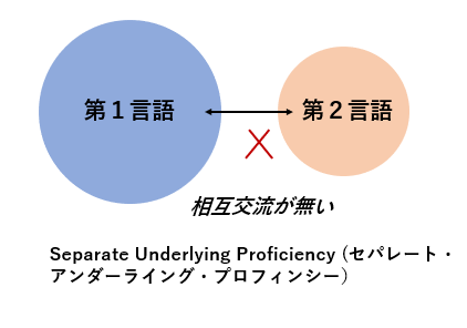 バイリンガル児言語収納・言語の相互交流セオリー（理論） — District